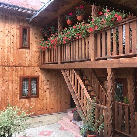 Pensiunea Agroturistica Casa Colinita Vatra Moldovitei Exterior photo