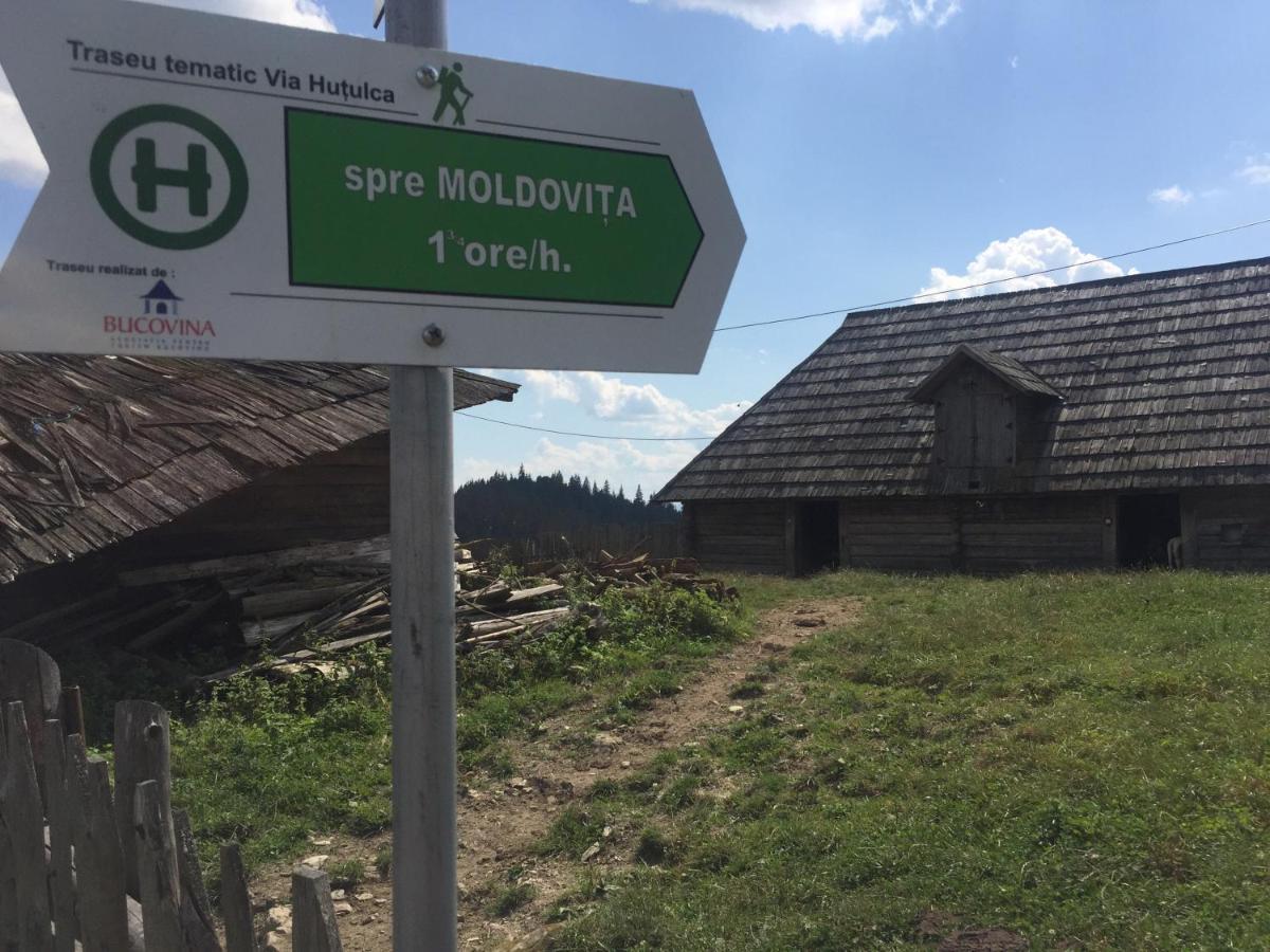 Pensiunea Agroturistica Casa Colinita Vatra Moldovitei Exterior photo