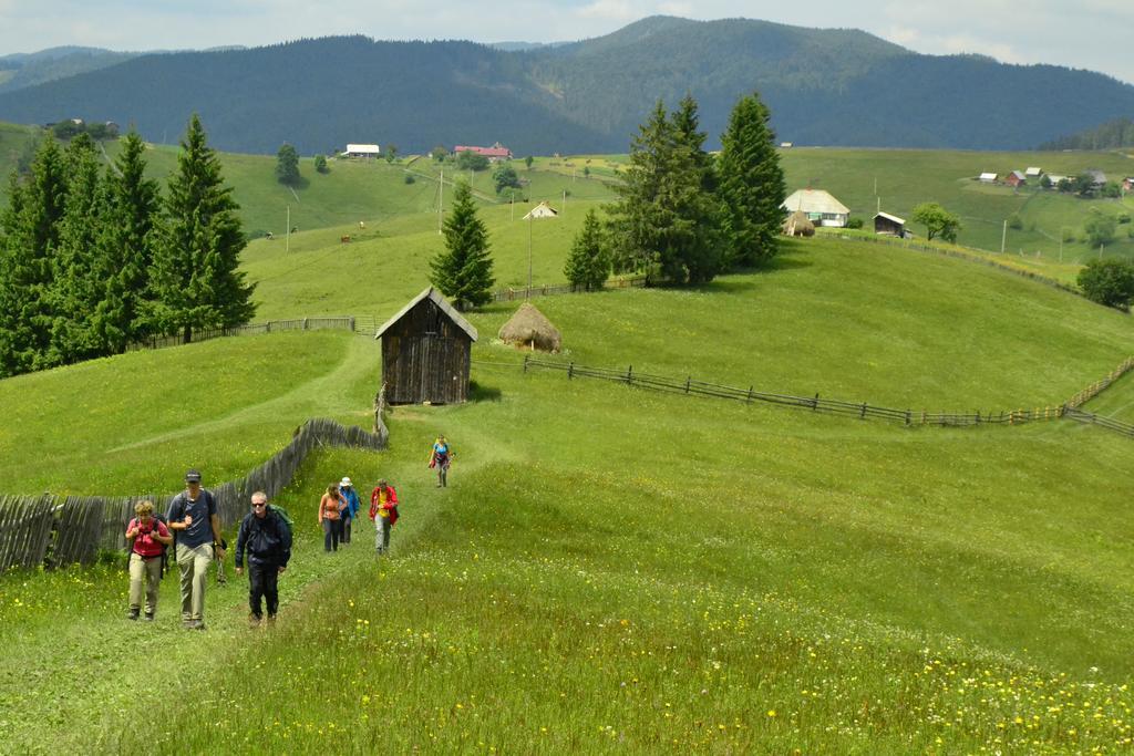 Pensiunea Agroturistica Casa Colinita Vatra Moldovitei Exterior photo