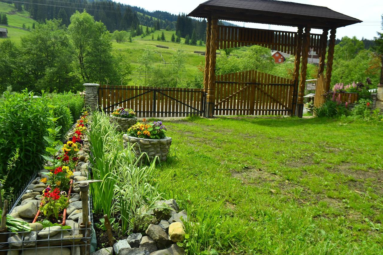 Pensiunea Agroturistica Casa Colinita Vatra Moldovitei Exterior photo